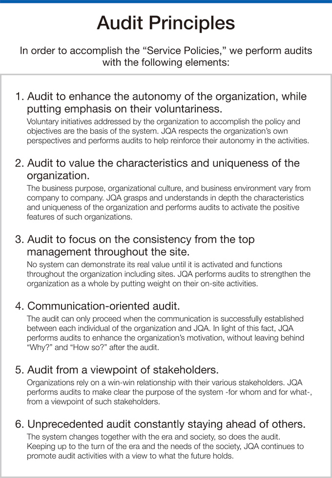 Audit Principles