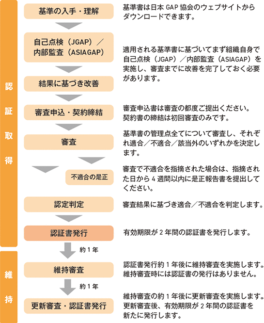 認証取得・維持の流れ