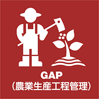 G.A.P.