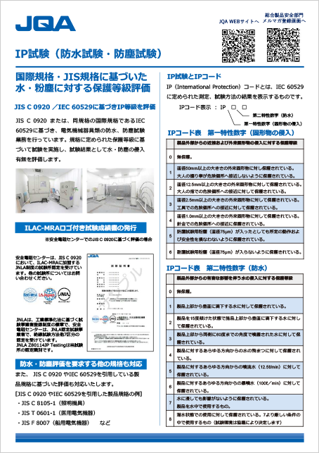 IP試験